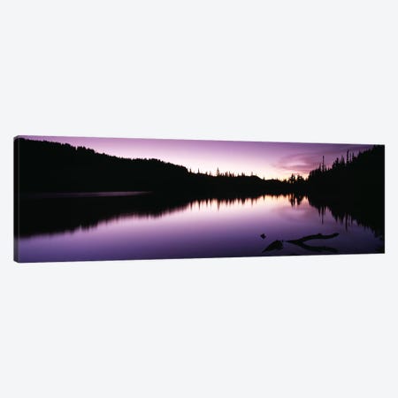 Reflection of trees in a lake, Mt Rainier, Mt Rainier National Park, Pierce County, Washington State, USA Canvas Print #PIM9103} by Panoramic Images Canvas Art Print