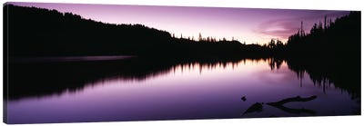 Reflection of trees in a lake, Mt Rainier, Mt Rainier National Park, Pierce County, Washington State, USA Canvas Art Print - Mount Rainier National Park Art