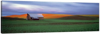 Barn in a field at sunset, Palouse, Whitman County, Washington State, USA #4 Canvas Art Print