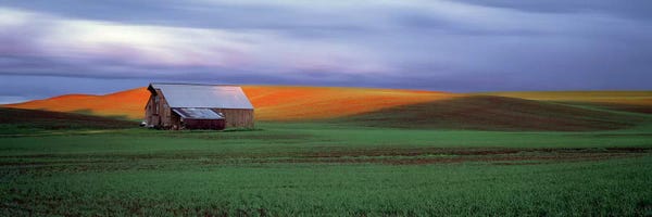 Washington: Barn in a field at sunset, Palouse, Whitman County, Washington State, USA #4 by Panoramic Images