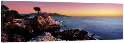 Silhouette of The Lone Cypress Tree, 17-Mile Drive, Monterey County, California, USA Canvas Art Print - Sunrises & Sunsets Scenic Photography