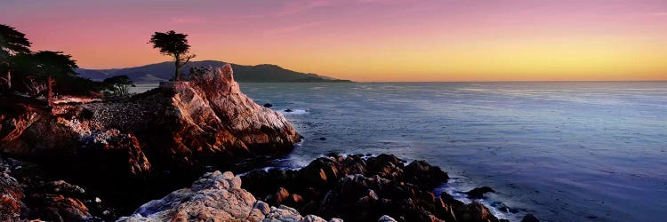 Silhouette of The Lone Cypress Tree, 17-Mile Drive, Monterey County, California, USA