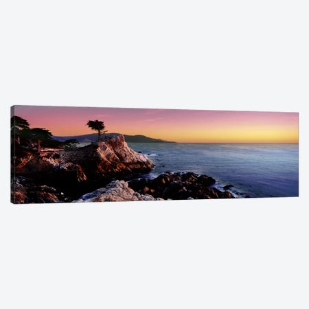 Silhouette of The Lone Cypress Tree, 17-Mile Drive, Monterey County, California, USA Canvas Print #PIM9121} by Panoramic Images Art Print