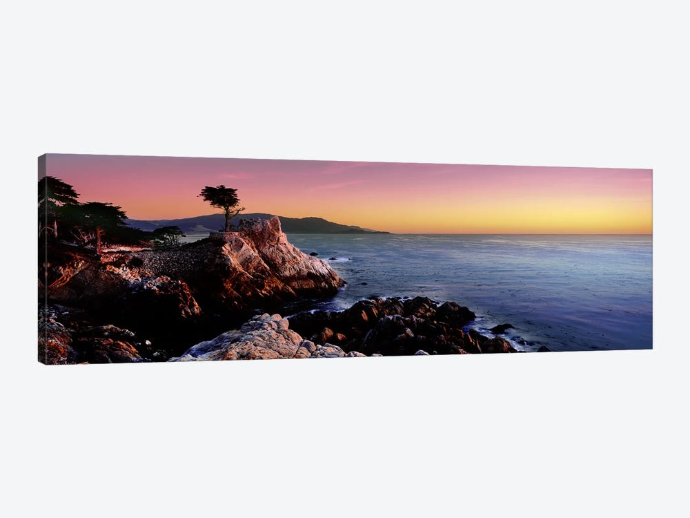 Silhouette of The Lone Cypress Tree, 17-Mile Drive, Monterey County, California, USA by Panoramic Images 1-piece Canvas Art Print