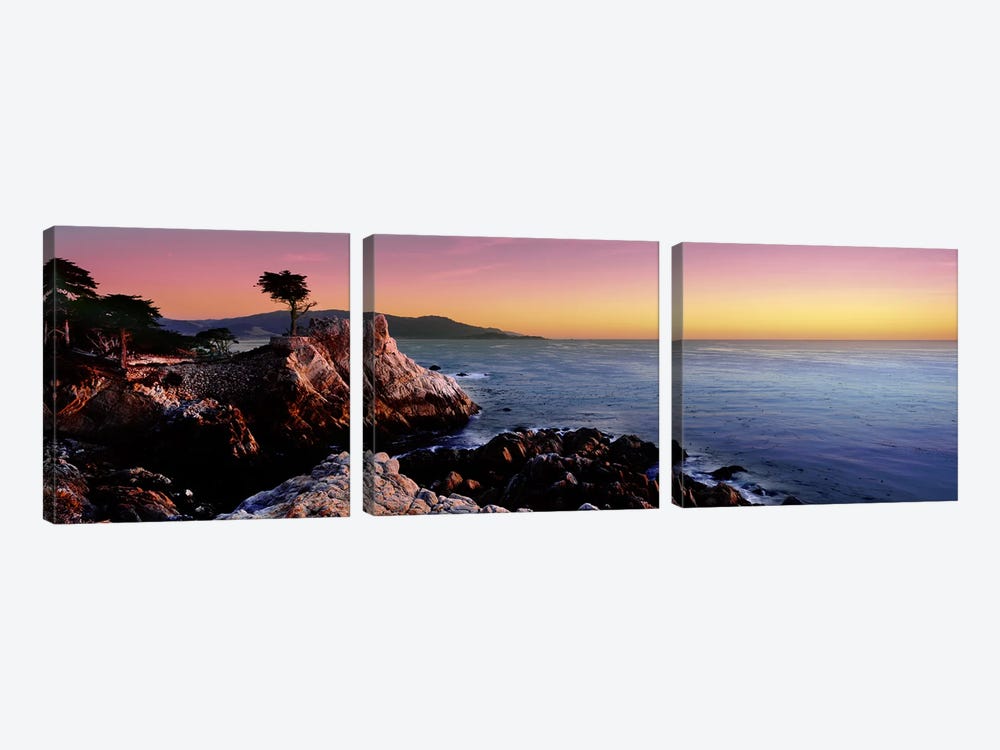 Silhouette of The Lone Cypress Tree, 17-Mile Drive, Monterey County, California, USA by Panoramic Images 3-piece Canvas Art Print