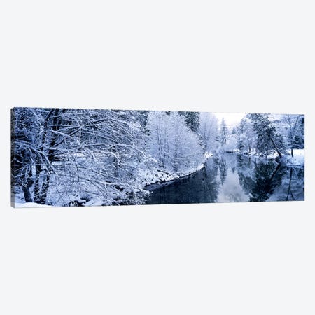 Snow covered trees along a river, Yosemite National Park, California, USA #2 Canvas Print #PIM9130} by Panoramic Images Canvas Wall Art