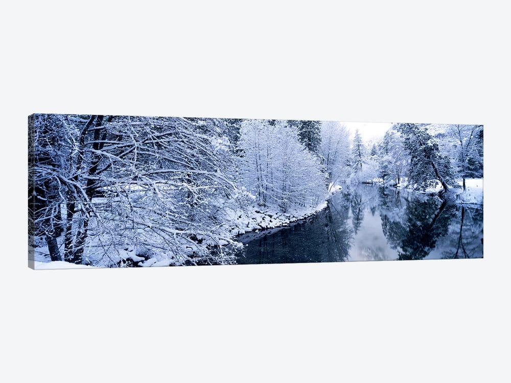 Snow covered trees along a river, Yosemite National Park, California, USA #2 by Panoramic Images 1-piece Canvas Print