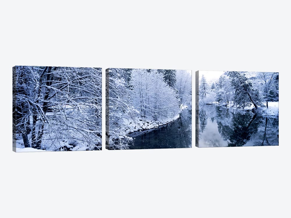 Snow covered trees along a river, Yosemite National Park, California, USA #2 by Panoramic Images 3-piece Canvas Art Print