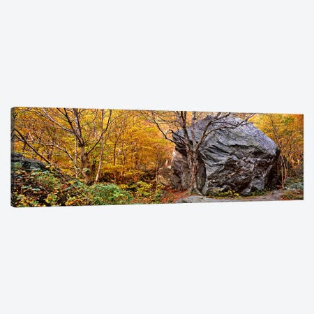 Big boulder in a forest, Stowe, Lamoille County, Vermont, USA Canvas Print #PIM9132} by Panoramic Images Canvas Wall Art