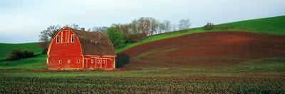 Barn in a field at sunset, Palouse, Whitman County, Washington State, USA #5 by Panoramic Images multi panel art