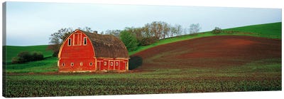 Barn in a field at sunset, Palouse, Whitman County, Washington State, USA #5 Canvas Art Print - Farm Art