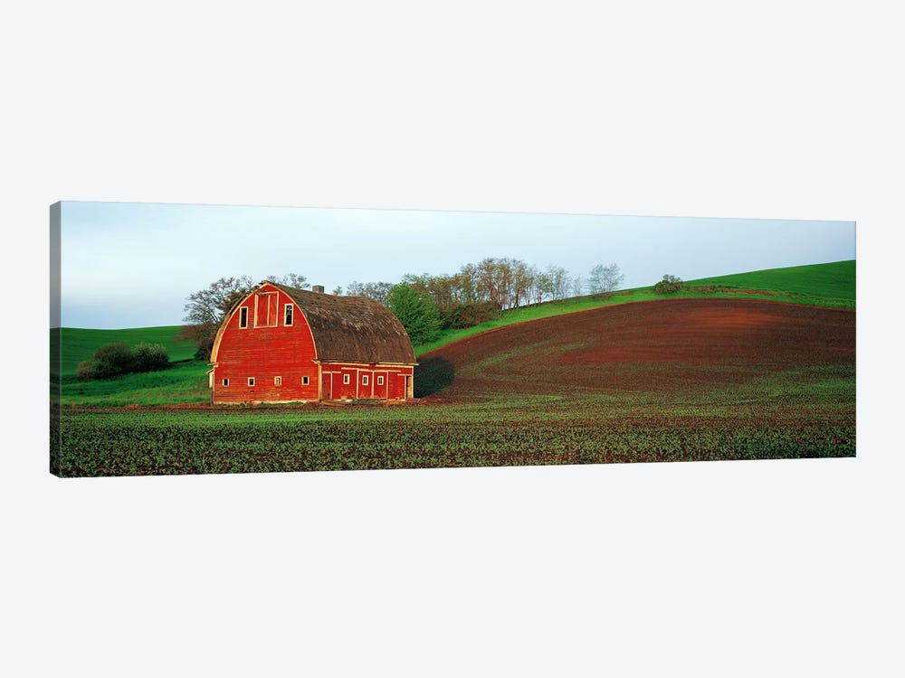 Barn in a field at sunset, Palouse, Whitman County, Washington State, USA #5 by Panoramic Images 1-piece Canvas Art Print