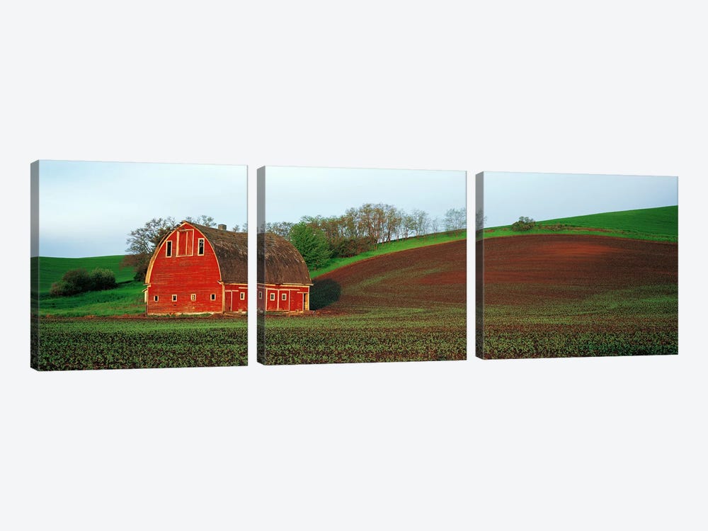 Barn in a field at sunset, Palouse, Whitman County, Washington State, USA #5 by Panoramic Images 3-piece Art Print