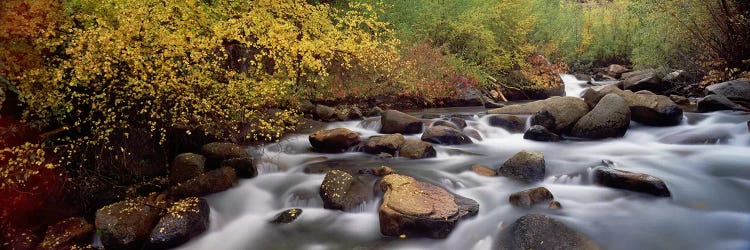 Blurred Motion View Of Water Flowing Through A Stream, Inyo County, California, USA