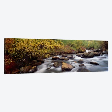Blurred Motion View Of Water Flowing Through A Stream, Inyo County, California, USA Canvas Print #PIM9155} by Panoramic Images Art Print
