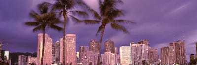 Buildings in a city, Honolulu, Oahu, Honolulu County, Hawaii, USA 2010 by Panoramic Images multi panel art