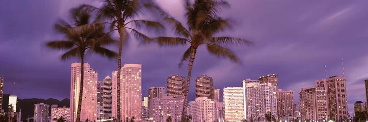 Buildings in a city, Honolulu, Oahu, Honolulu County, Hawaii, USA 2010 by Panoramic Images wall art
