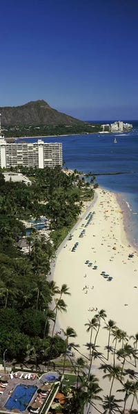 Hawaii: Buildings at the waterfront, Honolulu, Oahu, Honolulu County, Hawaii, USA #4 by Panoramic Images