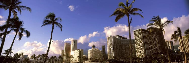 Low angle view of skyscrapers, Honolulu, Hawaii, USA 2010