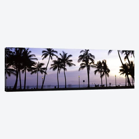 Palm trees on the beach, Waikiki, Honolulu, Oahu, Hawaii, USA Canvas Print #PIM9222} by Panoramic Images Canvas Artwork