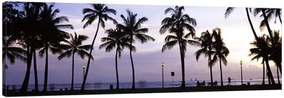 Palm trees on the beach, Waikiki, Honolulu, Oahu, Hawaii, USA Canvas Art Print - Honolulu Art