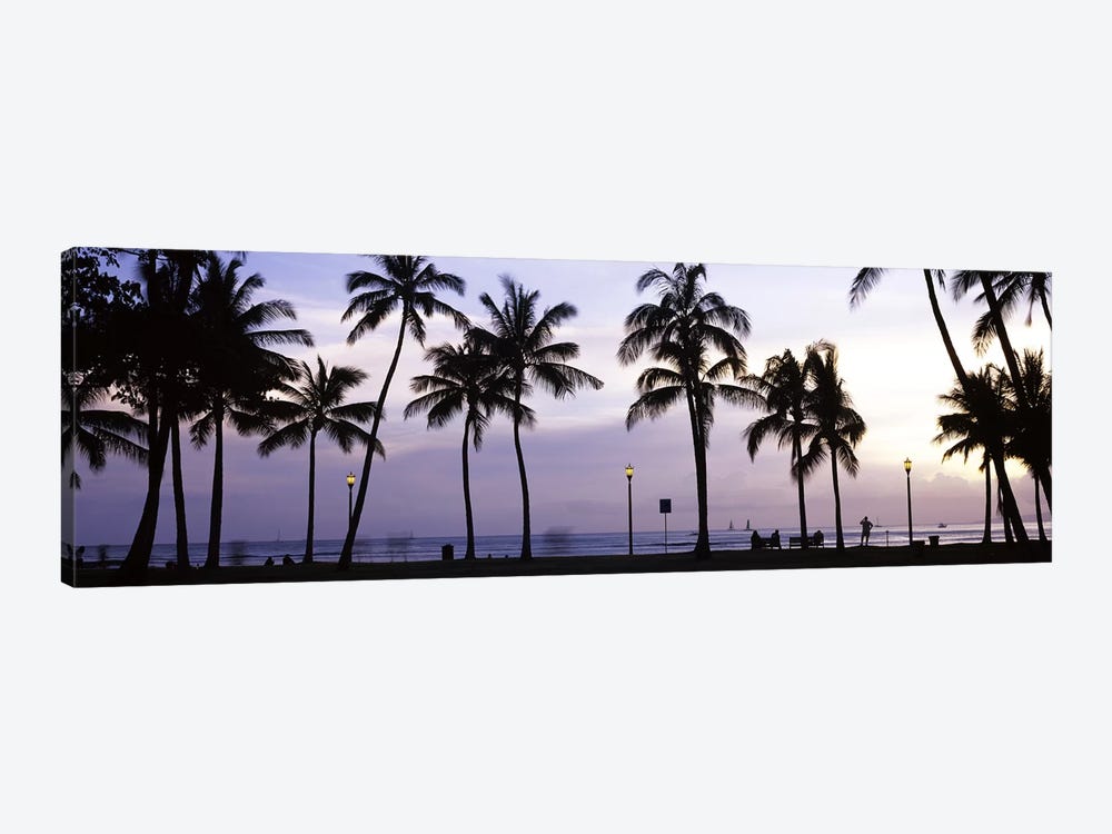 Palm trees on the beach, Waikiki, Honolulu, Oahu, Hawaii, USA by Panoramic Images 1-piece Canvas Artwork