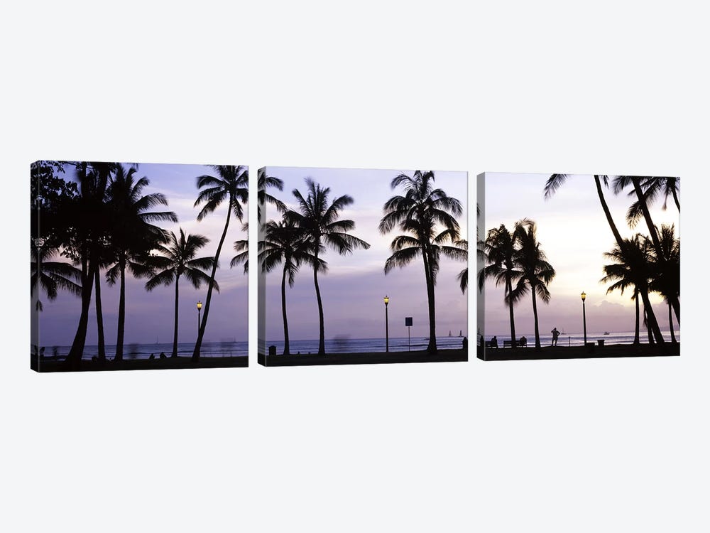 Palm trees on the beach, Waikiki, Honolulu, Oahu, Hawaii, USA by Panoramic Images 3-piece Canvas Artwork