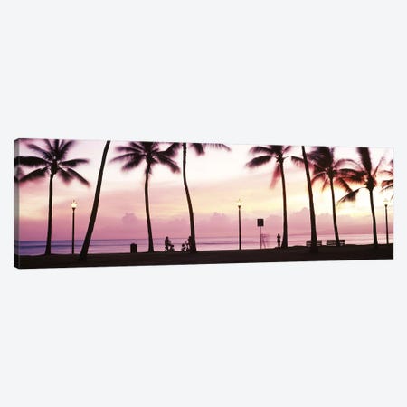 Palm trees on the beach, Waikiki, Honolulu, Oahu, Hawaii, USA #2 Canvas Print #PIM9223} by Panoramic Images Canvas Art