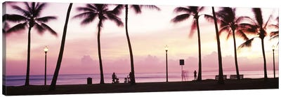 Palm trees on the beach, Waikiki, Honolulu, Oahu, Hawaii, USA #2 Canvas Art Print - Sky Art