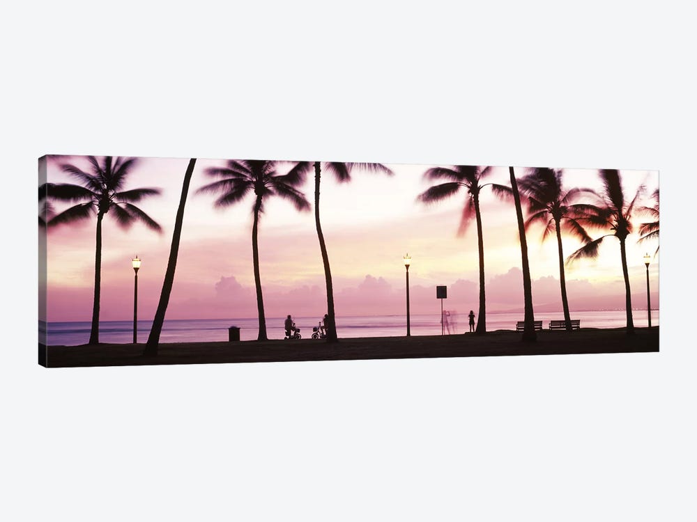 Palm trees on the beach, Waikiki, Honolulu, Oahu, Hawaii, USA #2 by Panoramic Images 1-piece Canvas Art Print