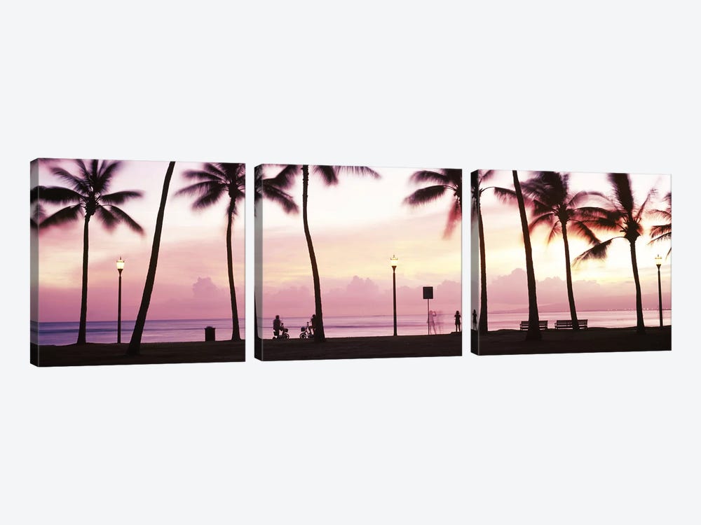 Palm trees on the beach, Waikiki, Honolulu, Oahu, Hawaii, USA #2 by Panoramic Images 3-piece Canvas Print