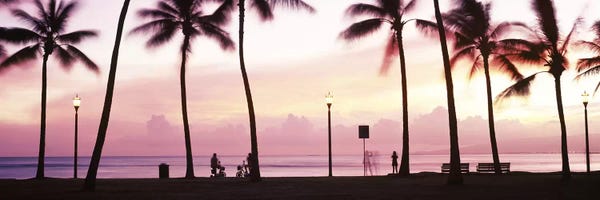 Palm Trees On The Beach II, Waikiki, Honolulu, Oahu, Hawaii, USA