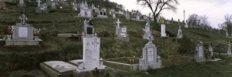 Tombstone in a cemetery, Saxon Church, Biertan, Transylvania, Mures County, Romania #2 by Panoramic Images wall art