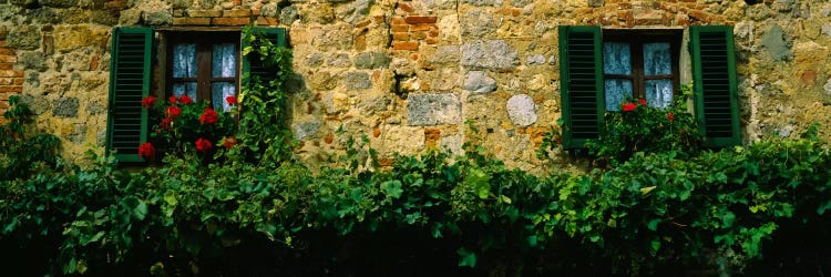 Flowers And Vines Along A Building Wall, Monteriggioni, Siena, Tuscany, Italy