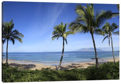 Palm Tree Lined Beach, Maui, Hawaii, USA Canvas Art Print - Ocean Art