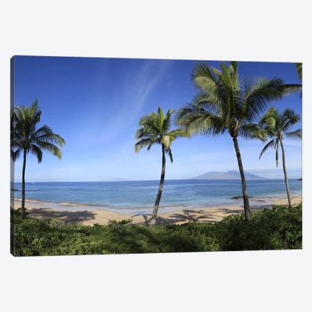 Palm Tree Lined Beach, Maui, Hawaii, USA Canvas Print #PIM9262} by Panoramic Images Canvas Wall Art