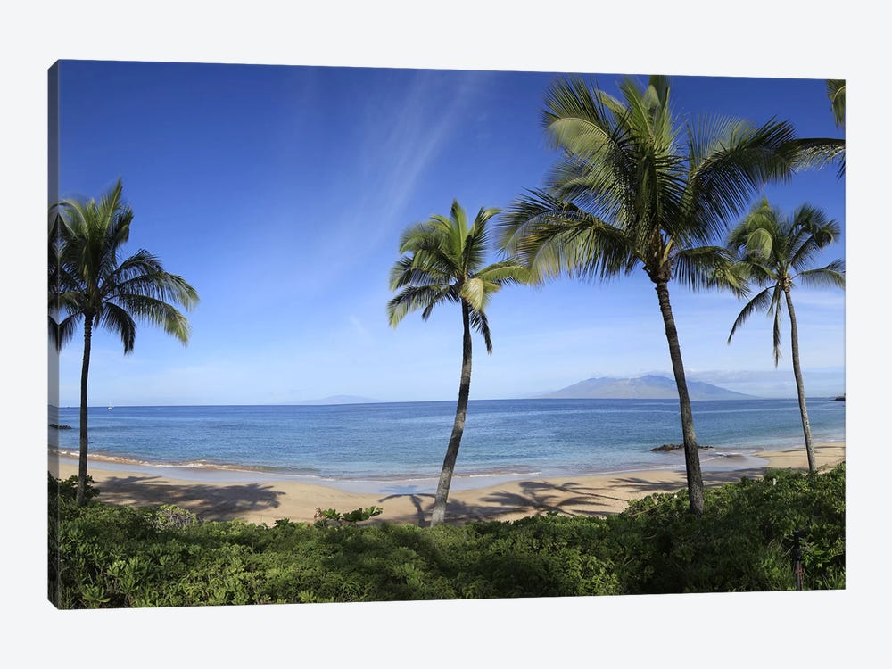 Palm Tree Lined Beach, Maui, Hawaii, USA by Panoramic Images 1-piece Canvas Artwork