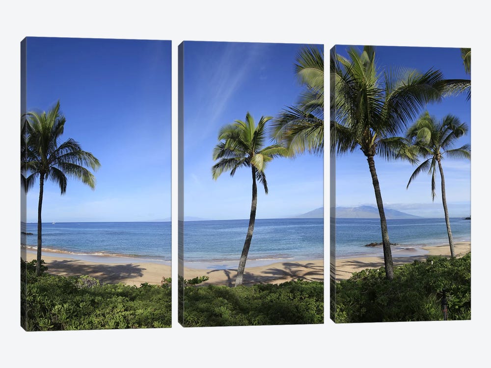 Palm Tree Lined Beach, Maui, Hawaii, USA by Panoramic Images 3-piece Canvas Art