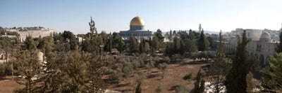 Trees with mosque in the background, Dome Of the Rock, Temple Mount, Jerusalem, Israel by Panoramic Images framed canvas print