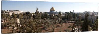 Trees with mosque in the background, Dome Of the Rock, Temple Mount, Jerusalem, Israel Canvas Art Print - Religion & Spirituality Art