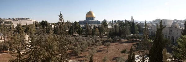 Israel: Trees with mosque in the background, Dome Of the Rock, Temple Mount, Jerusalem, Israel by Panoramic Images