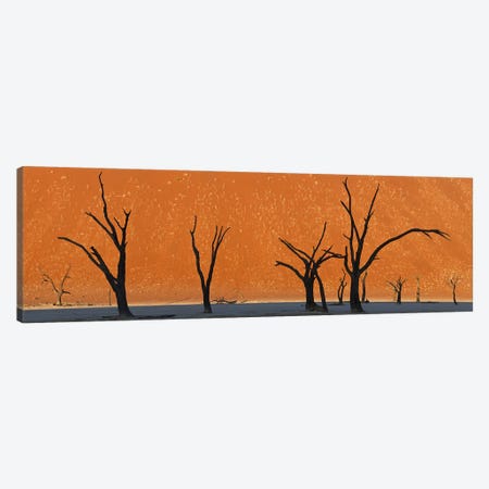 Dead trees by red sand dunes, Dead Vlei, Namib-Naukluft National Park, Namibia Canvas Print #PIM9276} by Panoramic Images Canvas Wall Art