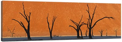 Dead trees by red sand dunes, Dead Vlei, Namib-Naukluft National Park, Namibia Canvas Art Print - Namibia