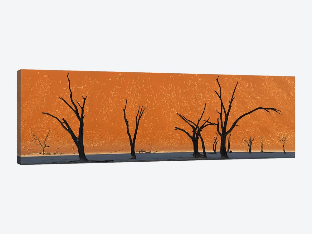 Dead trees by red sand dunes, Dead Vlei, Namib-Naukluft National Park, Namibia by Panoramic Images 1-piece Canvas Art Print