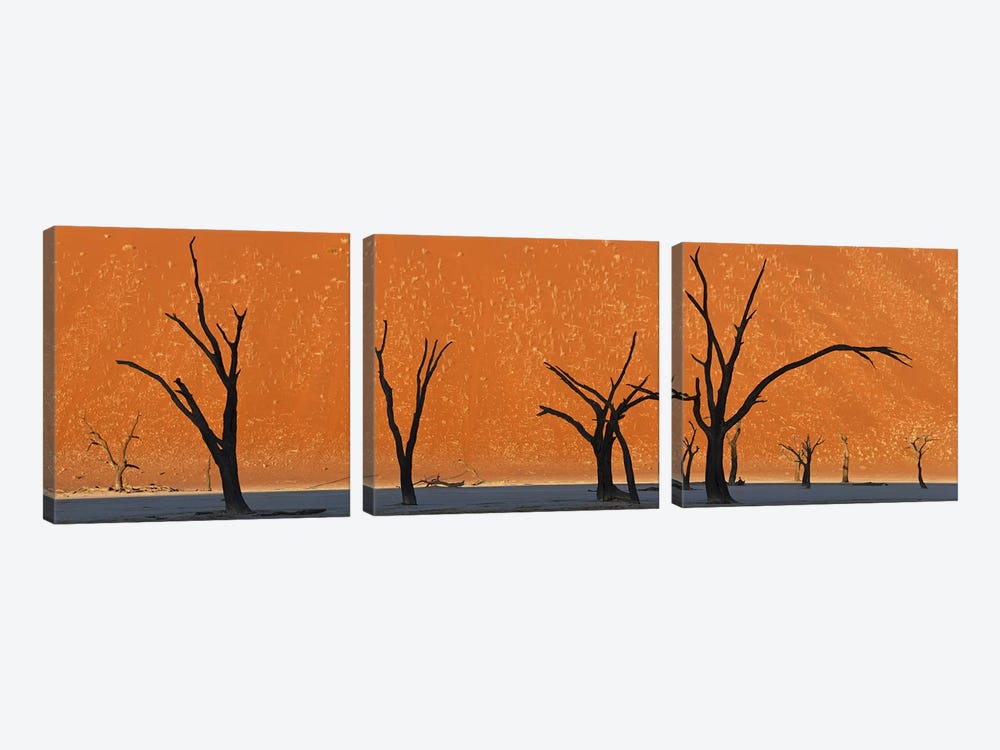 Dead trees by red sand dunes, Dead Vlei, Namib-Naukluft National Park, Namibia by Panoramic Images 3-piece Art Print