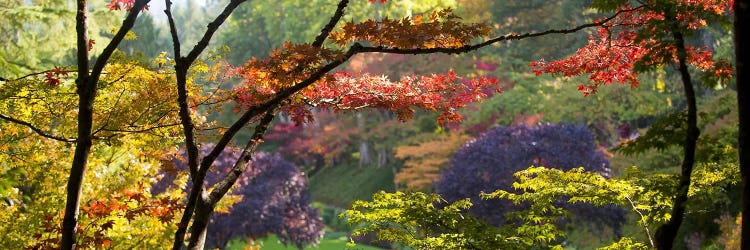 Autumn Landscape, Butchart Gardens, Brentwood Bay, Vancouver Island, British Columbia, Canada