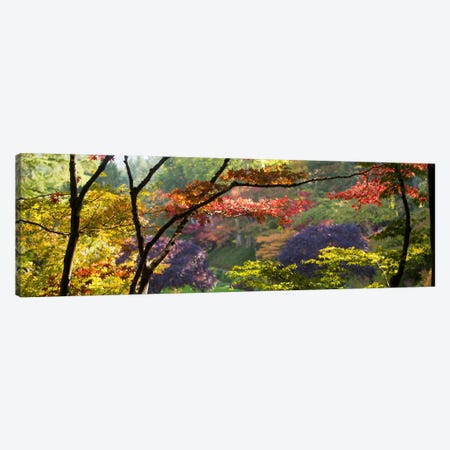 Autumn Landscape, Butchart Gardens, Brentwood Bay, Vancouver Island, British Columbia, Canada Canvas Print #PIM9318} by Panoramic Images Canvas Wall Art