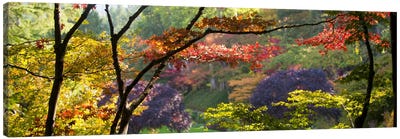 Autumn Landscape, Butchart Gardens, Brentwood Bay, Vancouver Island, British Columbia, Canada Canvas Art Print - Vancouver Art