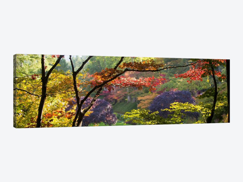 Autumn Landscape, Butchart Gardens, Brentwood Bay, Vancouver Island, British Columbia, Canada by Panoramic Images 1-piece Canvas Wall Art