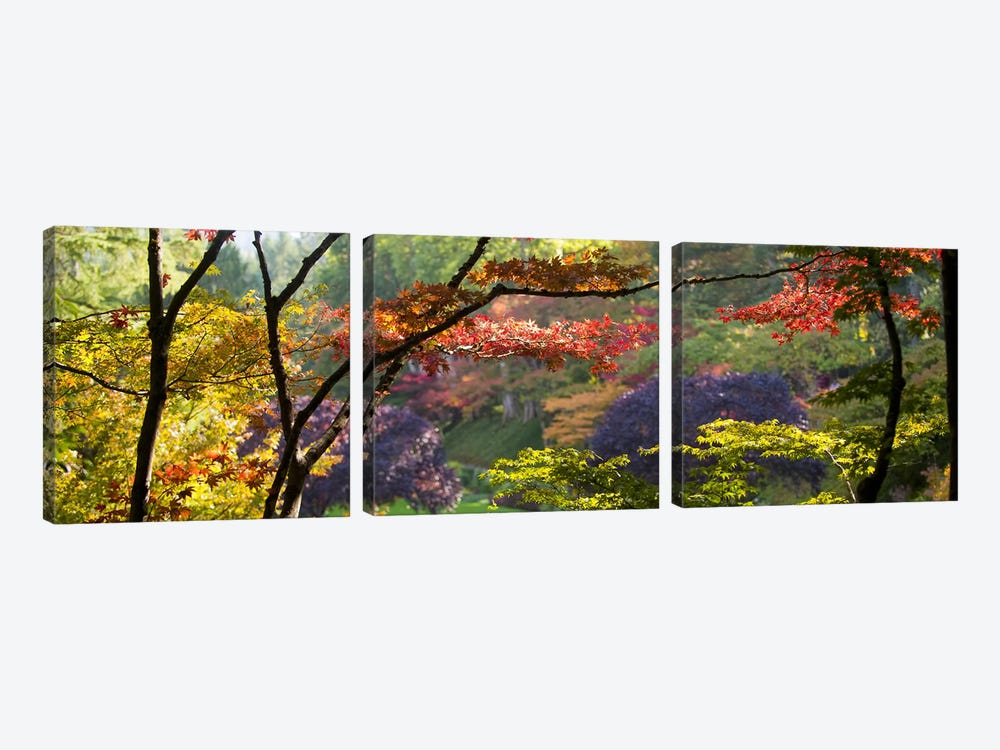 Autumn Landscape, Butchart Gardens, Brentwood Bay, Vancouver Island, British Columbia, Canada by Panoramic Images 3-piece Canvas Wall Art